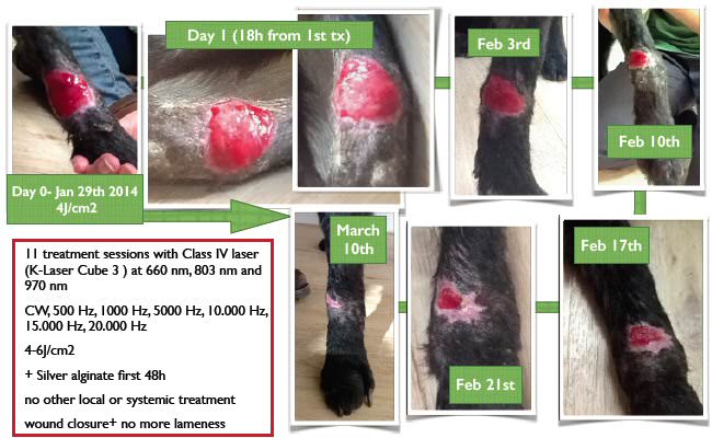 woundHealing650x400.jpg